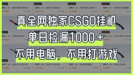 真全网独家CSGO挂G，单日捡漏1k+【揭秘】-互创客精选